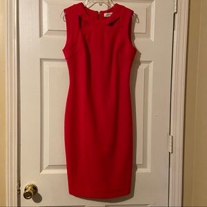 Hot pink Size 4 Calvin Kline Dress